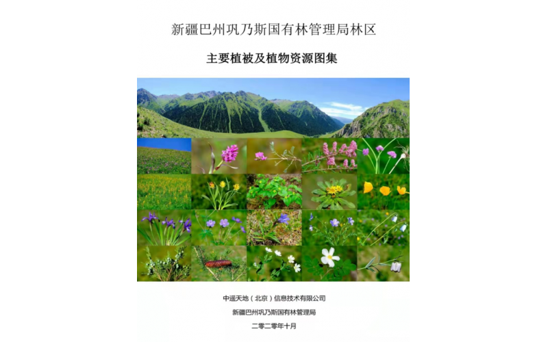 新疆巴州鞏乃斯國有林管理局林區(qū)植物資源調(diào)查